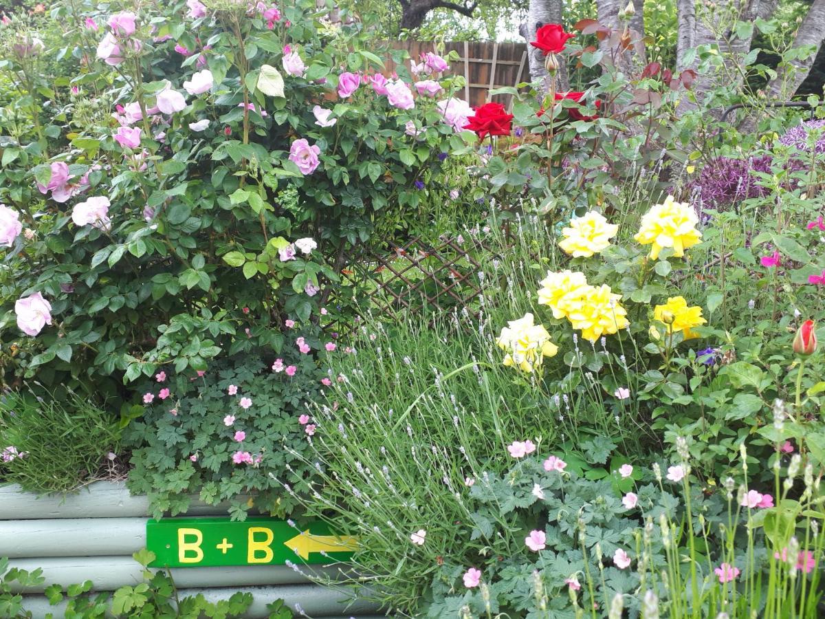 Santi Bhavana Bed & Breakfast Westbury  Dış mekan fotoğraf